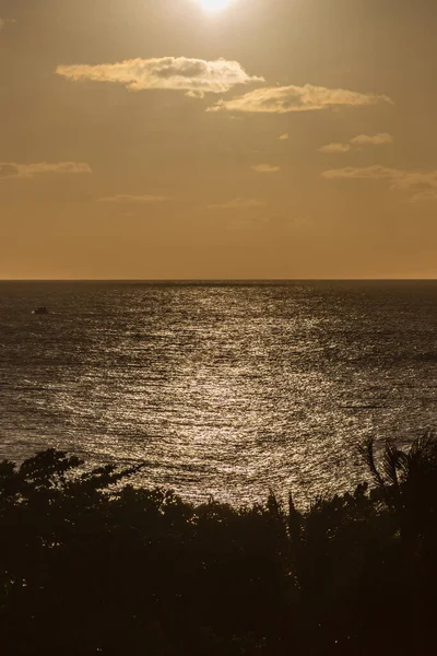 Puesta Sol Sobre Mar Caribe Con Primer Plano Silueta — Foto de Stock