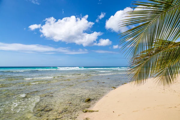 Una Playa Marea Baja Isla Barbados — Foto de Stock