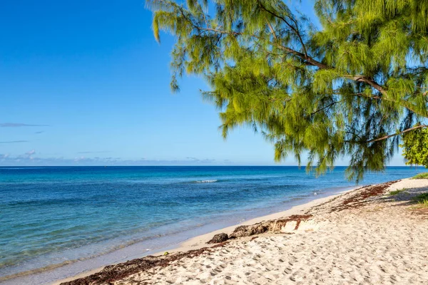 Una Idílica Playa Arena Isla Barbados — Foto de Stock