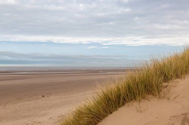 Merseyside 'daki Formby' deki kum tepelerine ve uçsuz bucaksız boş plajlara bakıyorum.