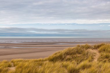 Merseyside, Formby 'deki marram otundan kumullara kadar uzanan engin boş kumsala bakıyorum.