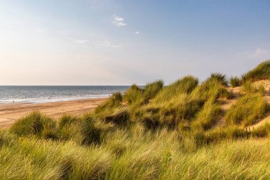 Merseyside 'daki Formby' de sahile ve okyanusa doğru kum tepelerini kaplayan marram çimlerine bakıyordum.