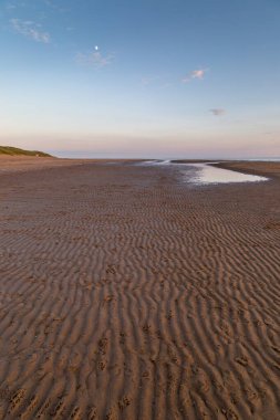 Kumda dalgalanmalar alçak gelgitte, yaz akşamında