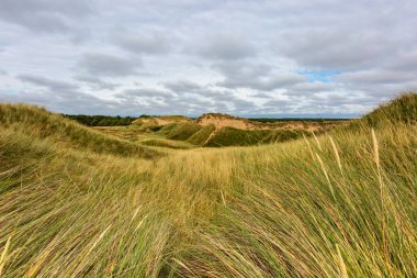 Formby kum tepelerindeki çimenler, bulutlu bir gökyüzü