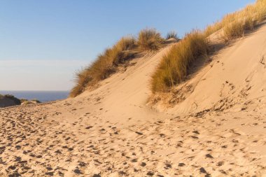 Formby 'deki kum tepeleri