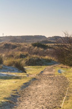Denize giden yol, Biçim