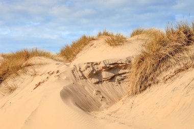 Formby 'deki kum tepeleri