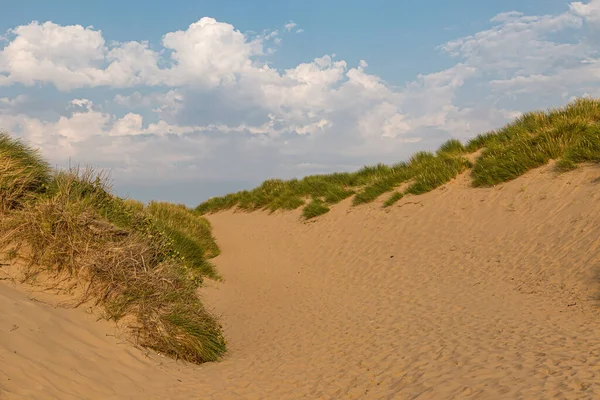 Marram Gras Groeit Zandduinen Bij Formby Merseyside — Stockfoto