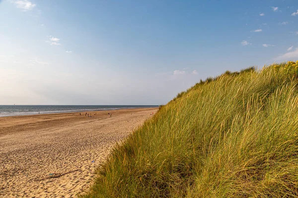 Looking out over marram grass covered sand dunes towards the beach and the ocean, at Formby in Merseyside