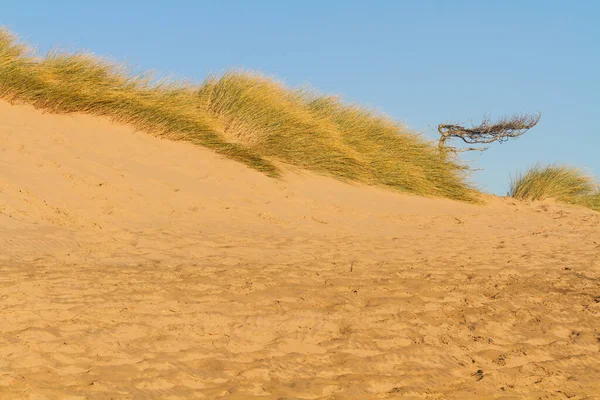 Zandduinen Bij Formby — Stockfoto