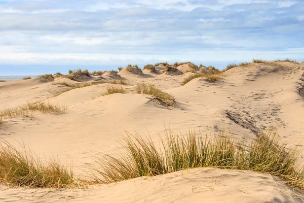 Formby Sand Dunes Een Zonnige Dag — Stockfoto