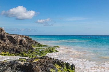 Sahilde, Bermuda adasındaki Elbow Beach 'te kaya oluşumları.