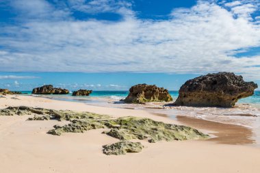 Bermuda adasındaki Horseshoe Bay plajında kaya oluşumları