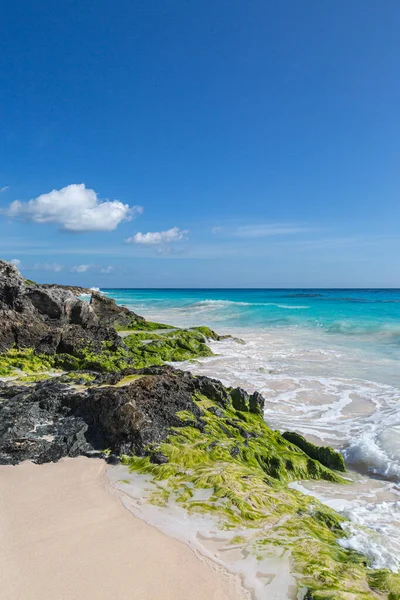Formaciones Rocosas Costa Elbow Beach Isla Bermudas —  Fotos de Stock