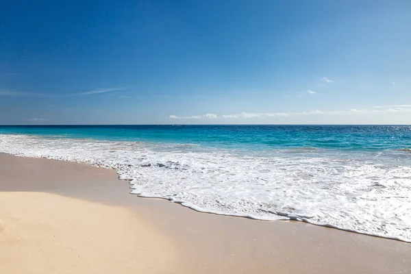 Idílica Playa Del Codo Isla Las Bermudas Día Soleado — Foto de Stock