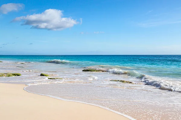 Olhando Para Oceano Idílica Praia Cotovelo Ilha Das Bermudas — Fotografia de Stock