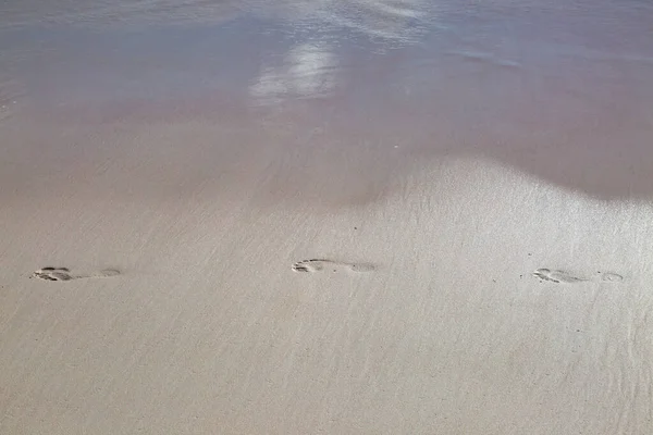 Voetafdrukken Het Zand Bij Horseshoe Bay Bermuda — Stockfoto
