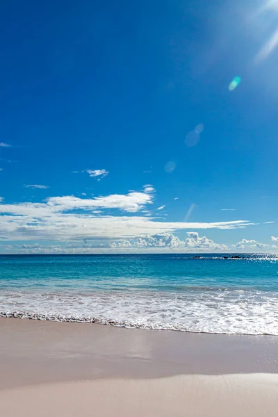 Idilli Sandy Strand Patkó Öbölben Bermuda Szigetén — Stock Fotó