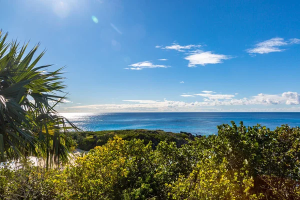Looking Out Sea Green Foliage Island Bermuda — Stock Photo, Image