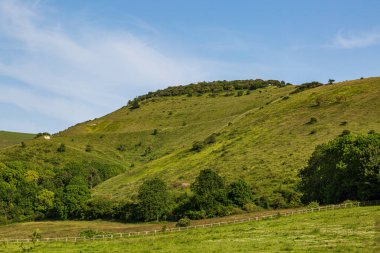 Güneşli bir yaz akşamında Güney Downs 'daki yeşil tepeler