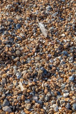 Kumsaldaki çakıl taşları ve tüyler