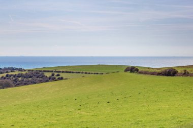 Sussex 'te yeşil tarlalar ve uzakta deniz.