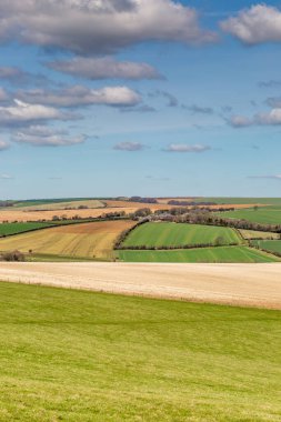 Sussex 'in güney yamaçları, güneşli bir bahar gününde
