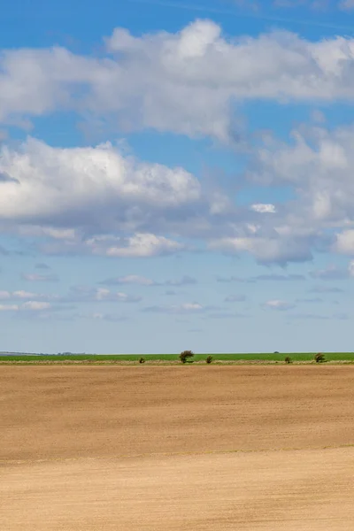 Gepflügte Felder Einem Sonnigen Tag Sussex Frühling — Stockfoto