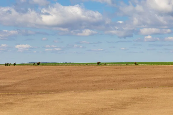 Ackerland Sussex Einem Sonnigen Frühlingstag — Stockfoto