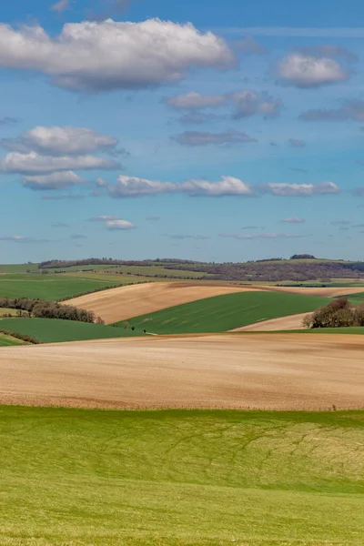 Patchwork Felder Den South Downs Sussex Einem Sonnigen Frühlingstag — Stockfoto