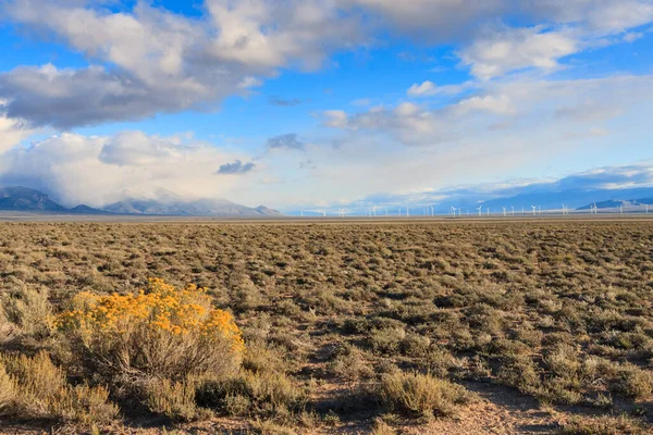 Paysage Nevada Avec Parc Éolien Lointain Des Montagnes — Photo