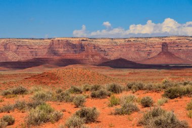 Utah 'taki Kızıl Kayalar