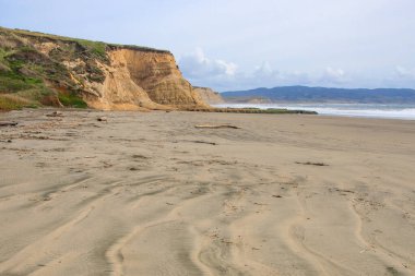 Point Reyes Ulusal Sahili, Kaliforniya 'da ıssız bir plaj.