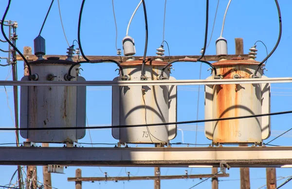 Huysuz suratlı metal kablolar.