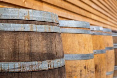 Bir üzüm bağında bir sıra ahşap fıçı.