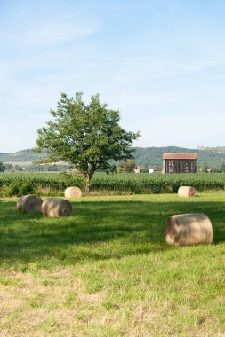 Kırsal Fransız Manzarası