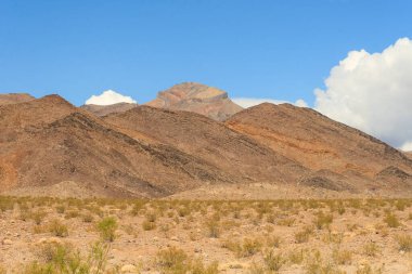 Ağaç Kabuğunun Tam Çerçeve Fotoğrafı