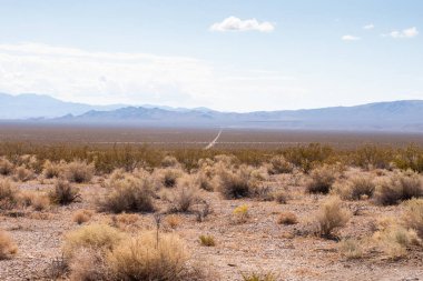 Ağaç Kabuğunun Tam Çerçeve Fotoğrafı