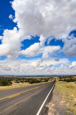 Arizona 'da Uzun Bir Yol