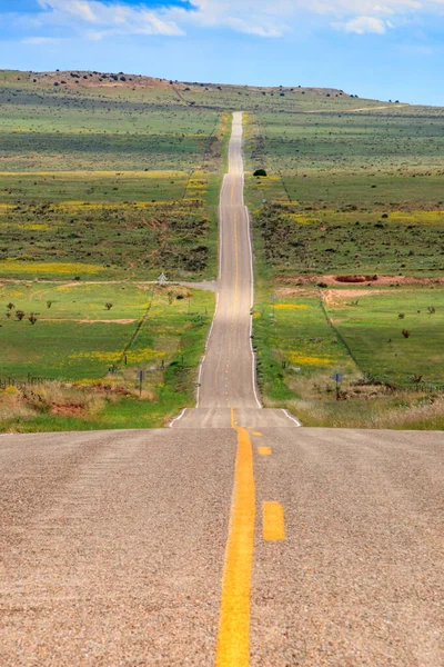 Long Road New Mexico — Stock Photo, Image