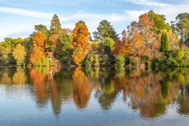Renkli ağaçlar ve onların yansımaları güneşli bir sonbahar gününde gölde.