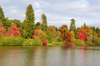 Sonbaharda renkli yapraklar