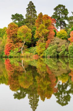 Sonbaharda renkli yapraklar