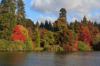 Sheffield Park Bahçeleri Sonbaharda