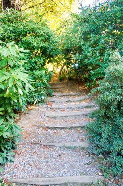 Kırsalda bir patika