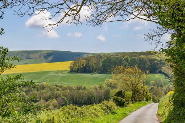 Looking Out Scenic Landscape South Downs Sussex — Stock Photo, Image