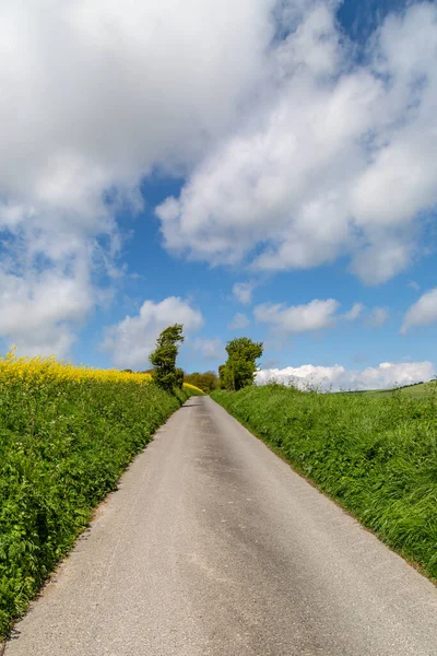 Country Road Surrounded Farmland Sussex — Stock Photo, Image