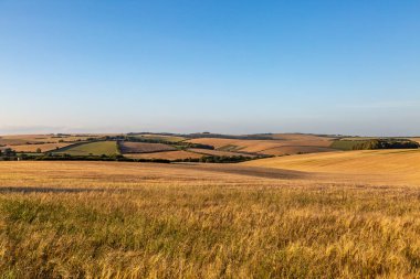 Yaz boyunca Sussex 'in yuvarlanan kırsalında akşam ışığı