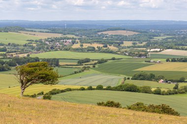 Sussex 'teki Firle Beacon' dan Güney Tepeleri manzarasına bakıyorum.