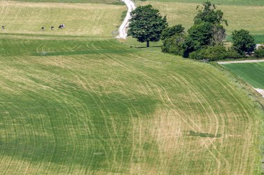 Yaz başında Sussex 'teki tarlalara yüksek açılı bir bakış açısı